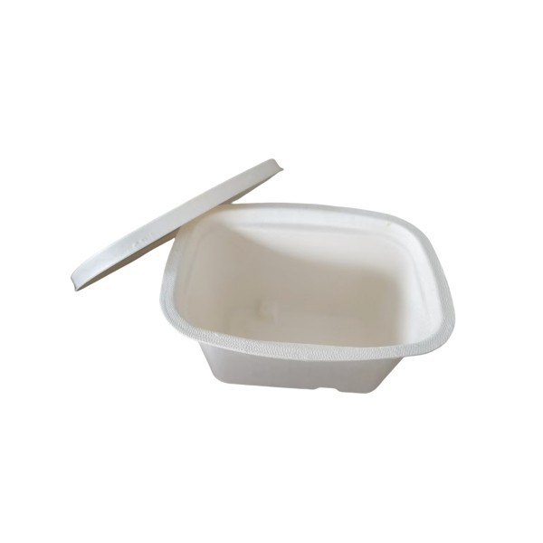 Our New Arrival---pulp Molded Butter Box